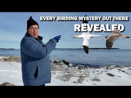 BIRDING the Atlantic Ocean like a BOSS