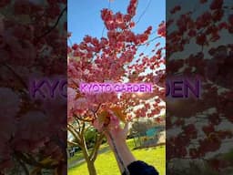 KYOTO GARDEN, LONDON #london #indiansinuk #ukindians #uktravel #londonvlog #londonparks