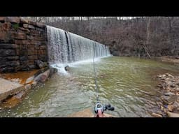 I NEVER caught this on camera before!  bank fishing