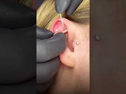 Rook, flat and tragus piercings with gold upgrades ✨