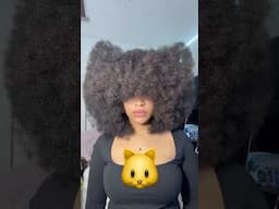 Hairstyles I can do with my big afro #curlyhair #afro #hair