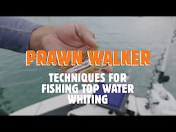 Techniques for fishing top water whiting with Prawn Walker | Fishing | Anaconda Stores