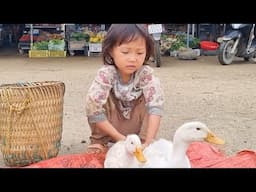 she is sick, i go sell ducks to buy medicine for her @ bodonthan123