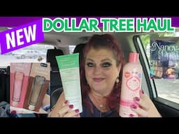 NEW DOLLAR TREE HAUL | Terrific New Finds | June 13, 2025