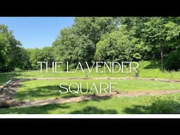 Starting a Flower Farm on a Budget | Episode 1 The Lavender Square