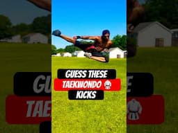 Guess These TAEKWONDO KICKS! #taekwondo #shorts