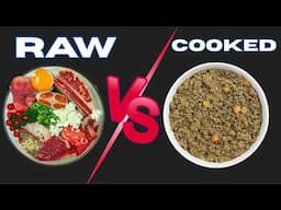 Cooked Vs Raw Dog Food, Which One Is Best?