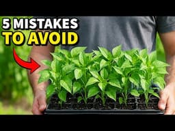5 Mistakes You Must NEVER Make When Growing Peppers