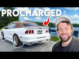 This PROCHARGED SVT Cobra Is A Super Clean Cruiser!