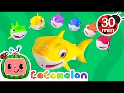Learn Colors with Baby Sharks + More CoComelon Animal Nursery Rhymes & Kids Songs | Toddler Learning
