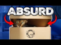 Schrodinger's Cat is Nonsense. Always was.