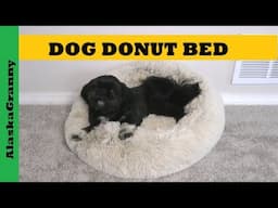 Dog Donut Bed Review Doughnut Dog Bed
