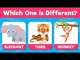 Odd One Out – Which Animal is Different and Why? | For Kids
