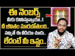 Vibrant Vamsi - Powerful Angel Numbers | Attract money in 24 hrs | Money Management | Money Mantra