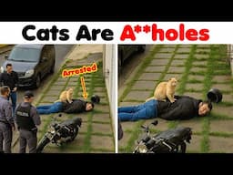 Cats Are A**holes