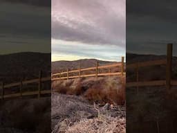 DID WE CORRECTLY SPACE POSTS? INSTALLING RAILS | FENCE BUILD