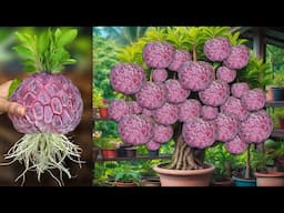 🔴LIVE 🌿Grow Fruit Trees Faster with These Simple Techniques! #live