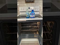 Easy Way to clean those dreaded oven racks