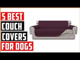 Best Couch Covers for Dogs in 2025: 5 Stylish Couch Covers for Pets—and Their Owners