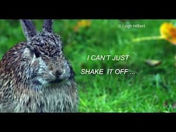 I'M SORRY + Message