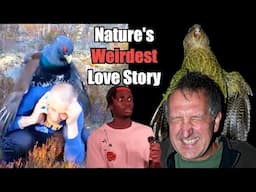 The Strange History of Birds Trying to Mate with Us