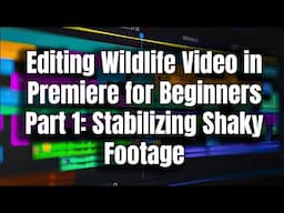 Premiere Pro for Beginners Part 1 - How to Stabilize Shaky Footage