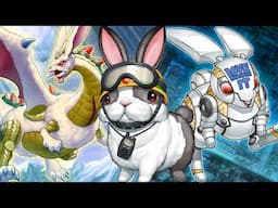 Top Ten Rabbits in Classic Yu-Gi-Oh