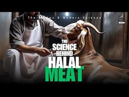 The Science Behind Halal Meat | Islamic Knowledge Official