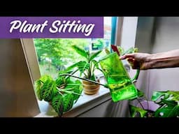 Would YOU Trust Me with Your Plants? One Subscriber Did!