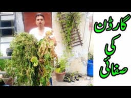 Garden cleaning time | Maza a gya | Jungle Garden