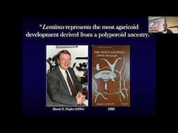 Deconstructing Lentinus by David Hibbett