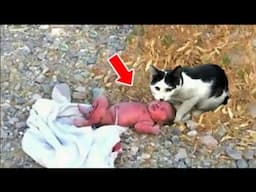 The Father Threw This Crying Baby on The Road, Then A Cat Found Her And Did Something Wonderful!