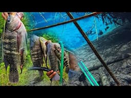 EPIC DEEP BLUE HOLE  FRESH WATER  HUNT FOR WILD GIANT TILAPIA CATCH COOK