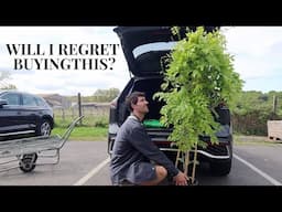 THE FRONT OF OUR HOME IS DONE & BUYING A WISTERIA PLANT | VLOG