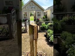 BHG Walmart's Pink and Purple Garden