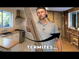 Our Kitchen Reno Turned Into a Nightmare