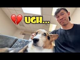 I Wasn't Ready For This News || Life After College: Ep. 795