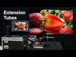 Macro photography with extension tubes