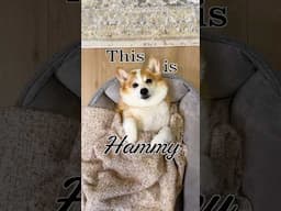 He went from Chunk to Hunk!