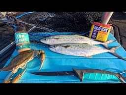 Spanish Mackerel Catch n' Cook on my Boat! (Shark Fishing and Trolling)