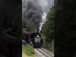 Get Your Narrow Gauge Steam Fix!