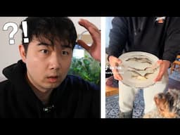 is this fish tank big enough? | Fish Tank Review 303