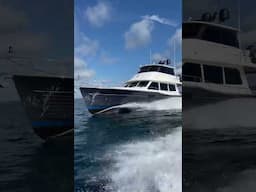 Running offshore with this Grand Banks 60 Sky Lounge…where in the world would you take this beauty?