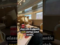 Paris to Milan is Opened AGAIN 🚄