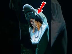 5 Most Dangerous Sea creatures ( part 4 ) #shorts #animals