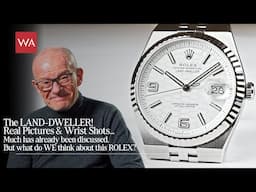 ROLEX Oyster Perpetual Land-Dweller. Real Pictures & Wrist Shots. What do WE think about this watch?
