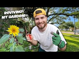 Upgrading and Updating My Garden!! Spring 2025