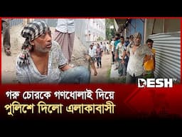 মাদারীপুরে চুরির প্রস্তুতিকালে ধরা খেলো গরু চোর | Madaripur news | Cow Thief | Desh TV