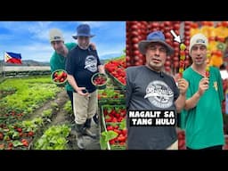 ARAB DAD is *Lettuce & Strawberry FARMER* for a DAY! 💪🇵🇭