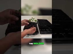 Seed Starting Mistakes to Avoid 🌱 | How & Why to Up-Pot Seedlings Correctly - Part 2